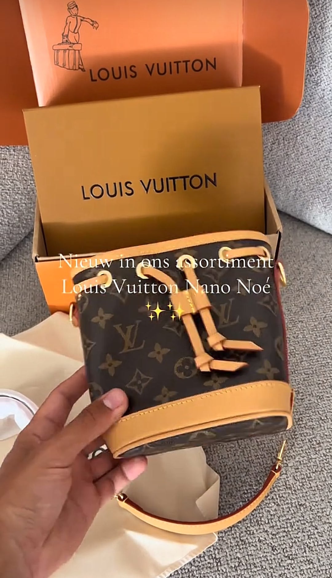 Louis Vuitton Nano Noe – Bruin Monogramdesign