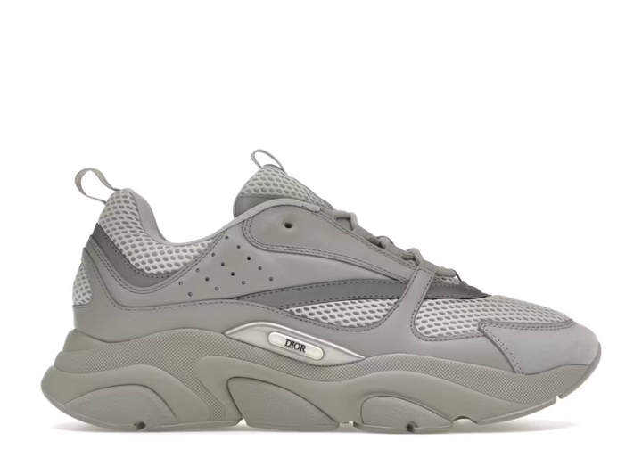 Dior B22