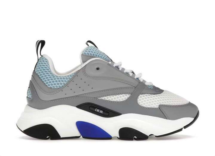 Dior B22