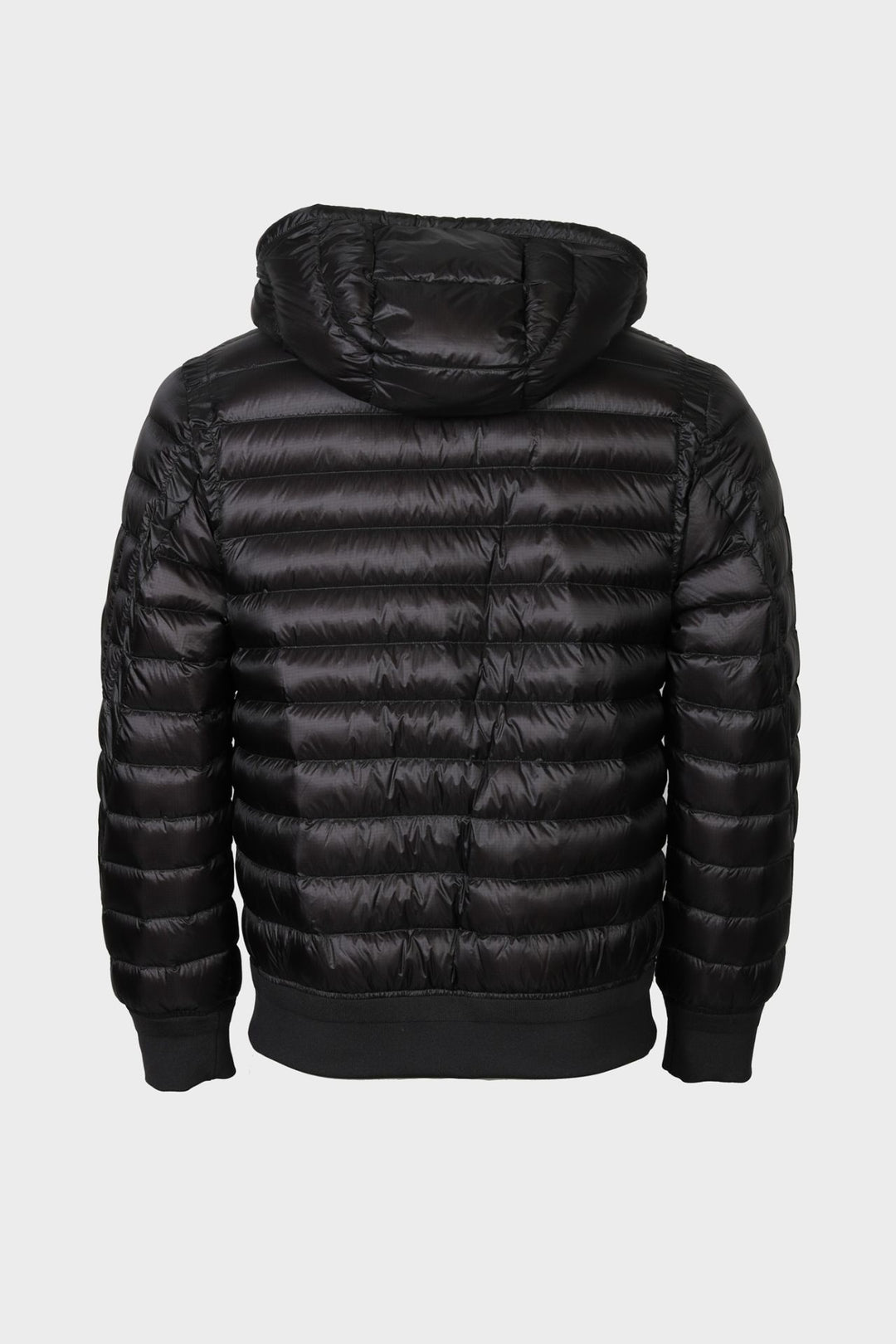 CP Company D.D. Shell