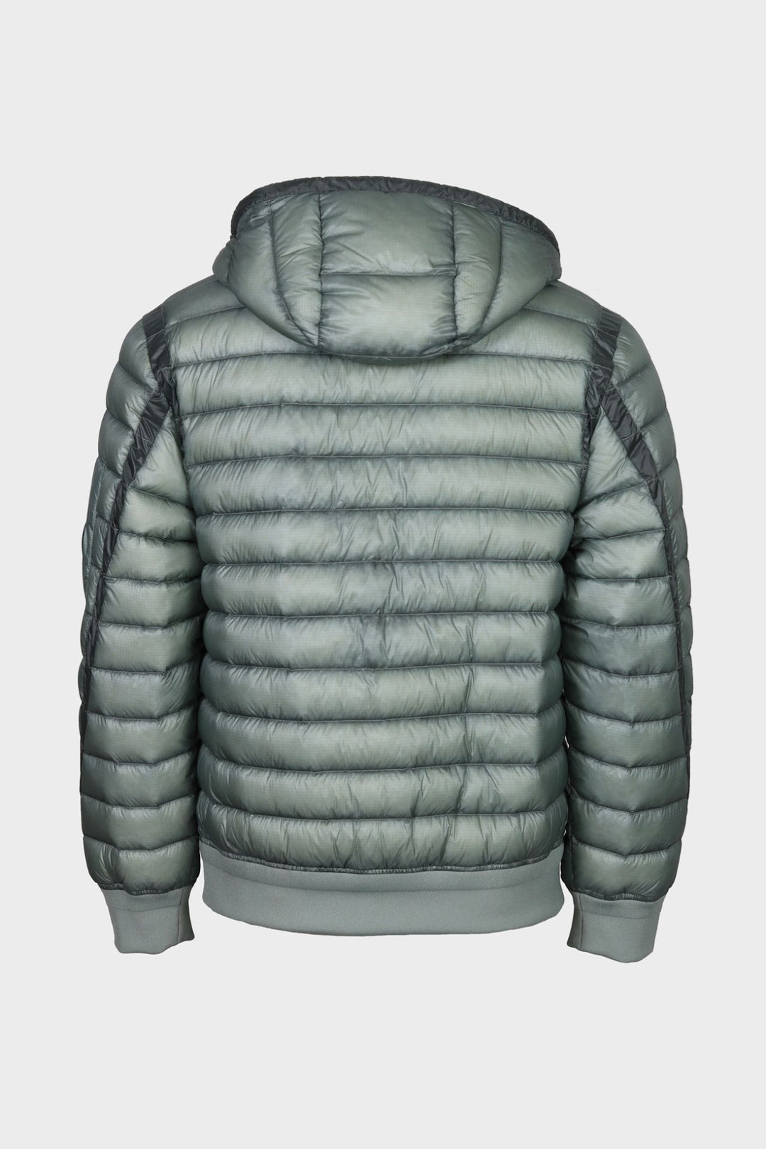 CP Company D.D. Shell
